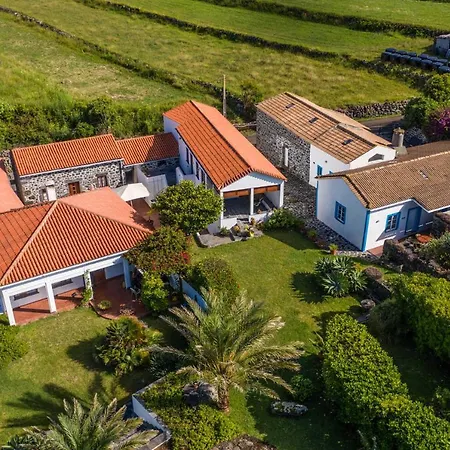 Quinta Perpetua, Casa Pico *