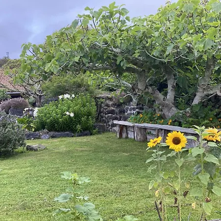 Quinta Perpetua, Casa Pico Alto do Sul